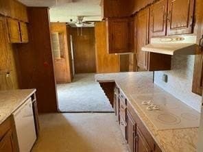 246.3 acres in Kaufman County - photo 6
