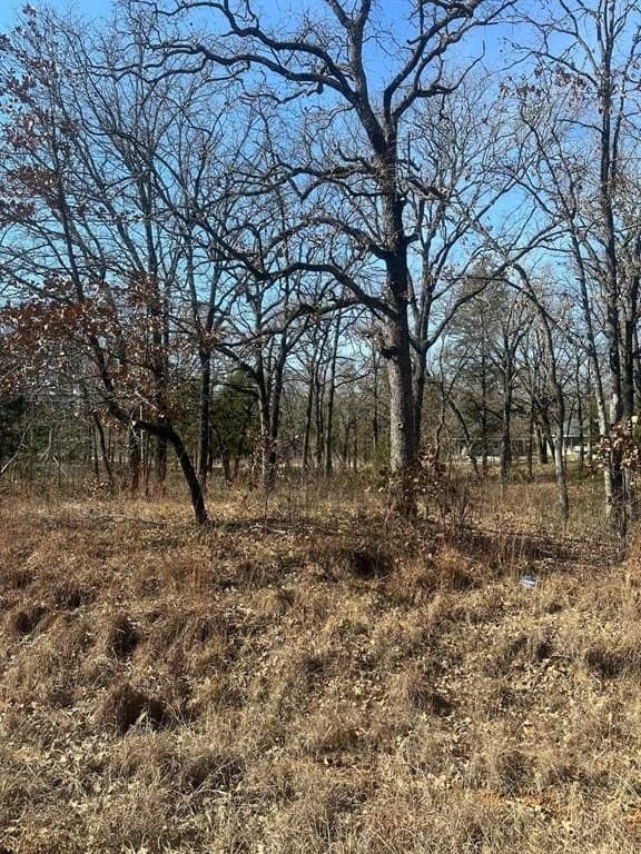 0.23 acres in Henderson County - photo 2