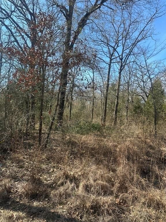 0.23 acres in Henderson County - photo 3