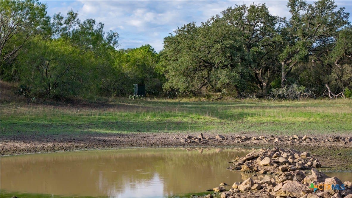 52.65 acres in Comal County - photo 5