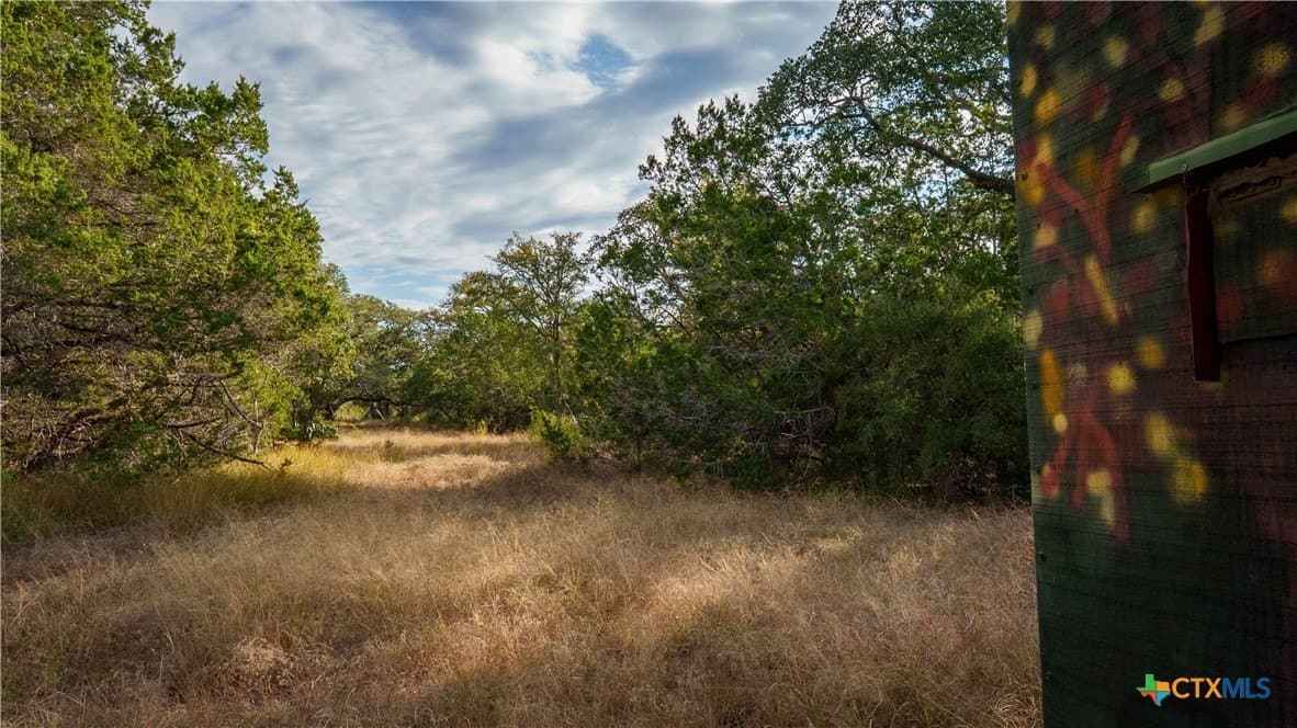 52.65 acres in Comal County - photo 10
