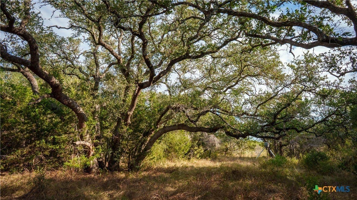 52.65 acres in Comal County - photo 11