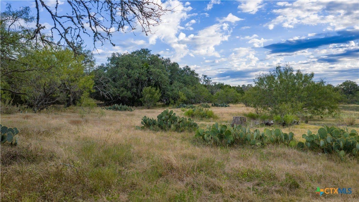 52.65 acres in Comal County - photo 6