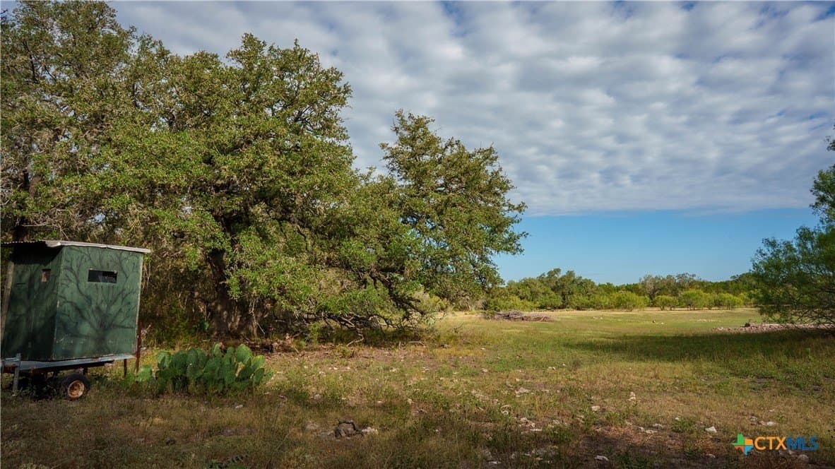 52.65 acres in Comal County - photo 12