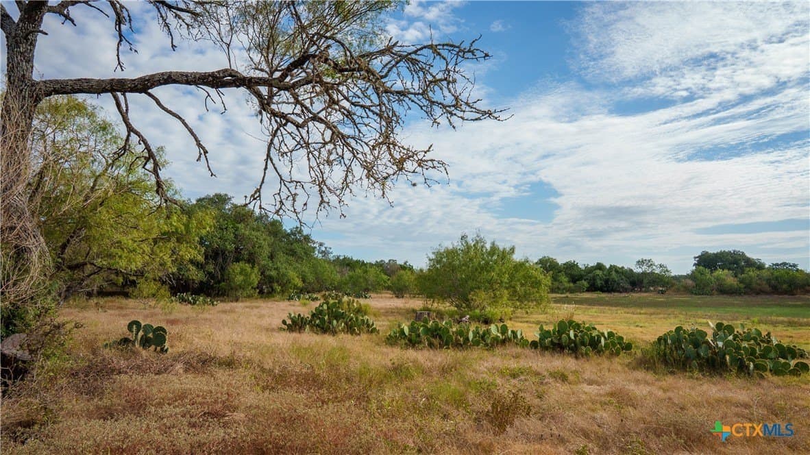 52.65 acres in Comal County - photo 13