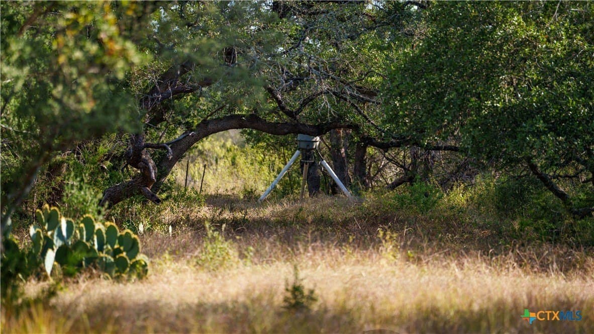 52.65 acres in Comal County - photo 14