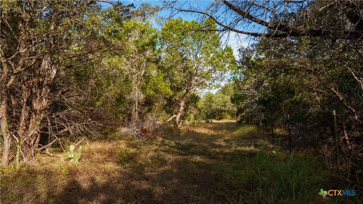 52.65 acres in Comal County - photo 7