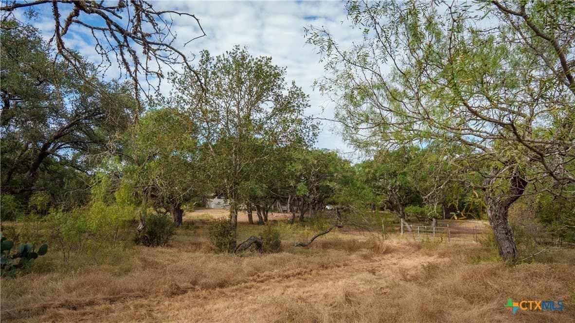 52.65 acres in Comal County - photo 25