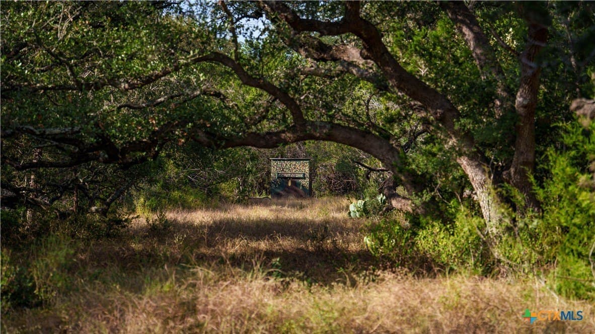 52.65 acres in Comal County - photo 2