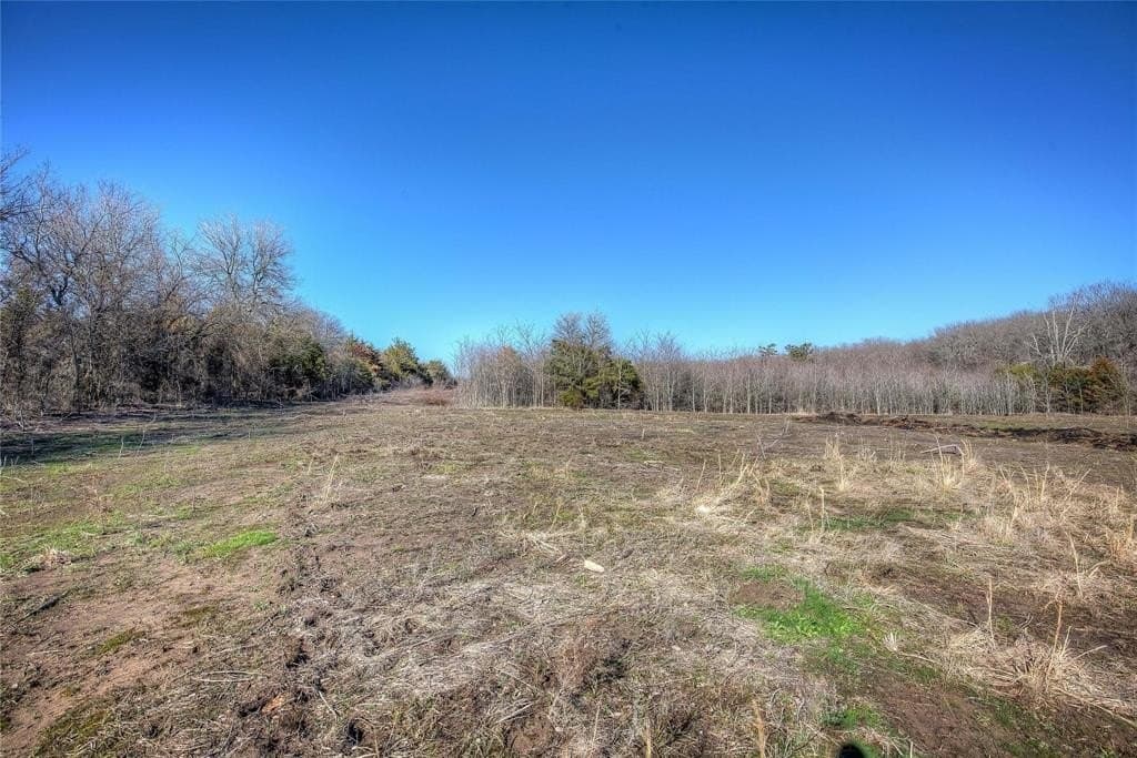30.01 acres in Hunt County - photo 25