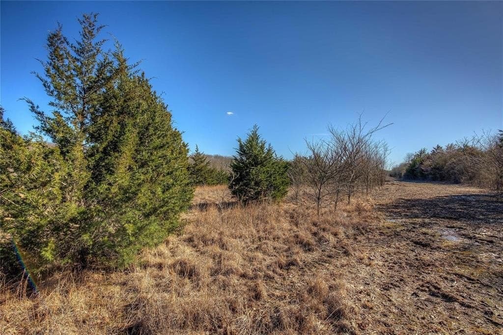 30.01 acres in Hunt County - photo 32