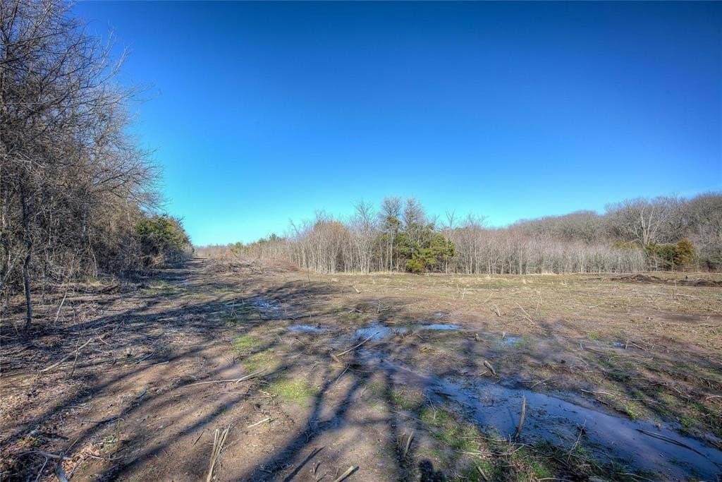 30.01 acres in Hunt County - photo 26