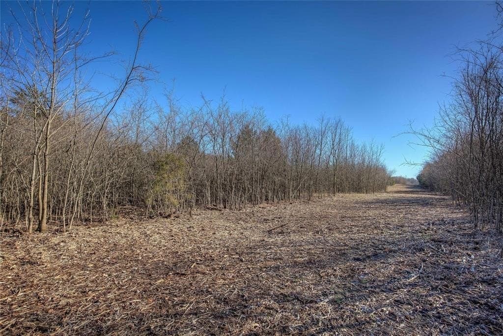 30.01 acres in Hunt County - photo 35