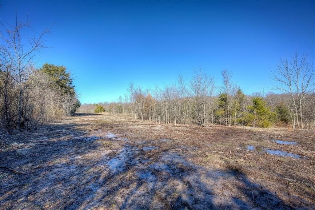 30.01 acres in Hunt County - photo 30