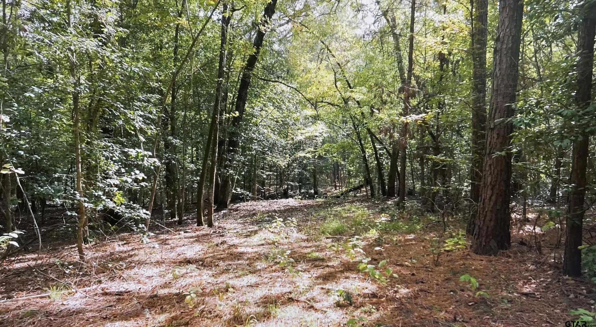 33.42 acres in Smith County - photo 5