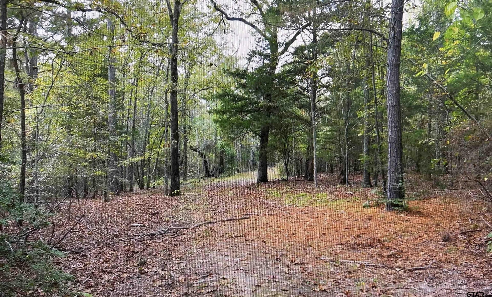 33.42 acres in Smith County - photo 6