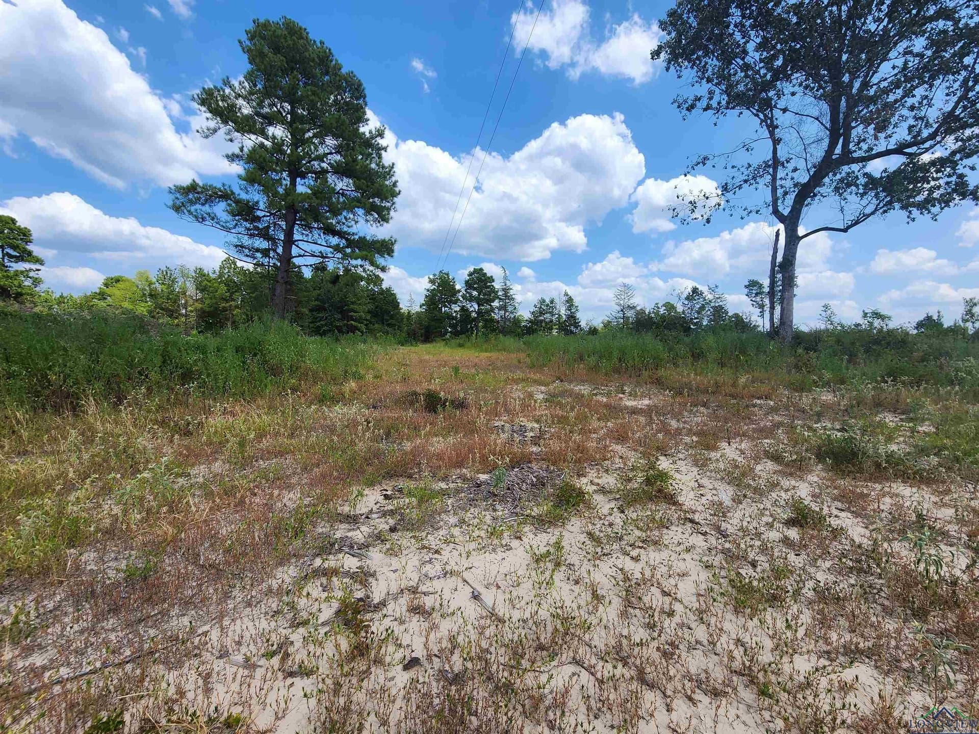 16.5 acres in Cass County - photo 4