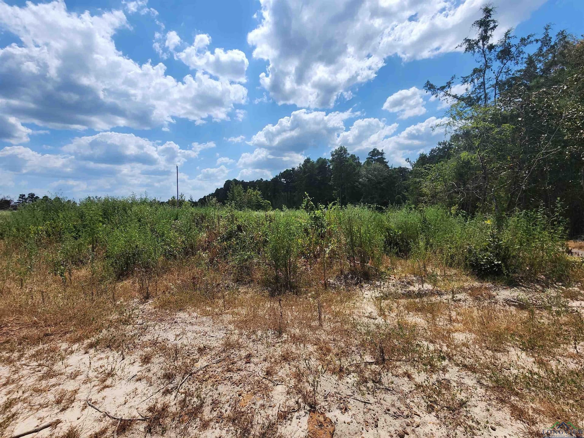 16.5 acres in Cass County - photo 7