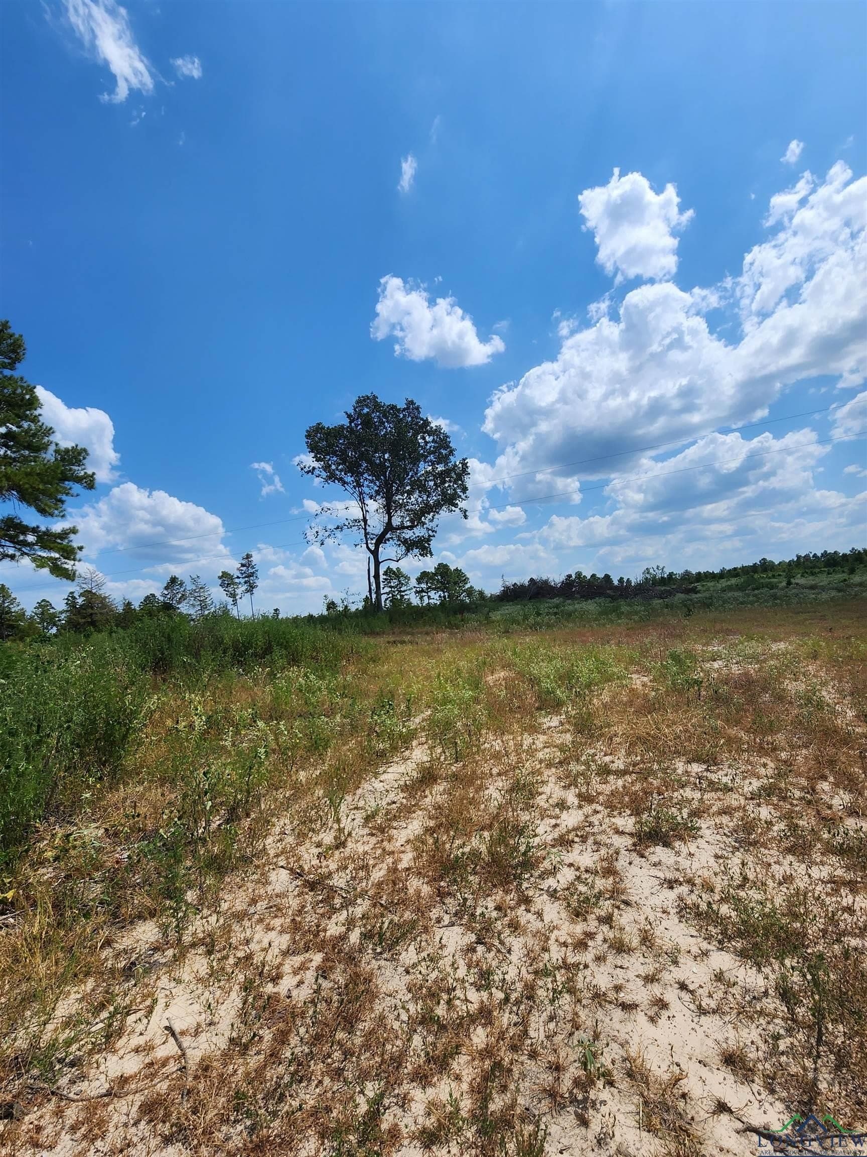 16.5 acres in Cass County - photo 8