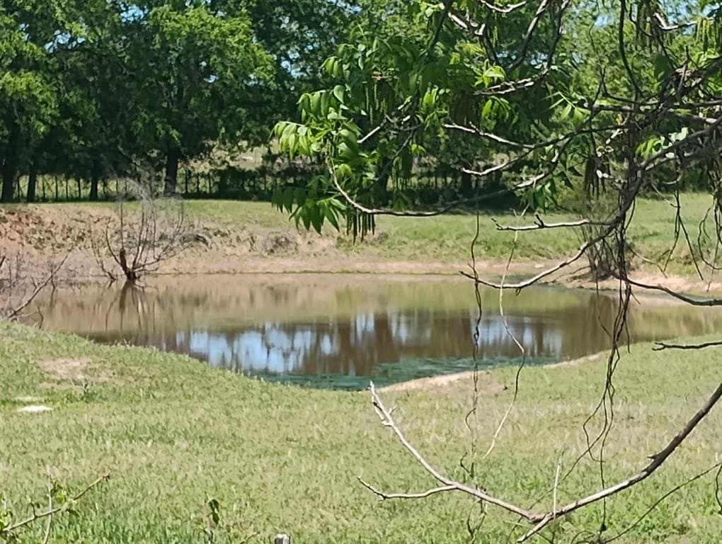 10.03 acres in Hood County - photo 7