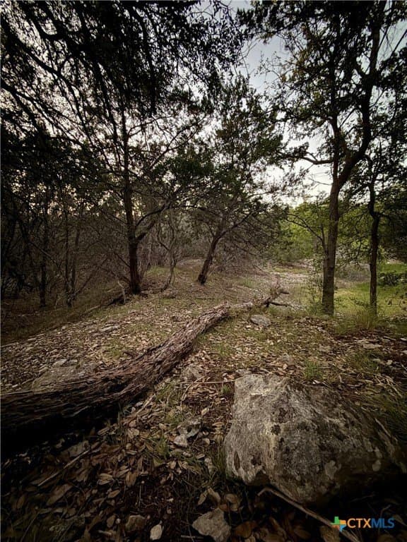 2 acres in Comal County - photo 5
