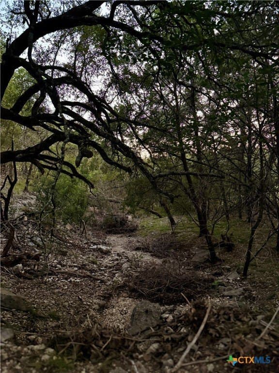 2 acres in Comal County - photo 7