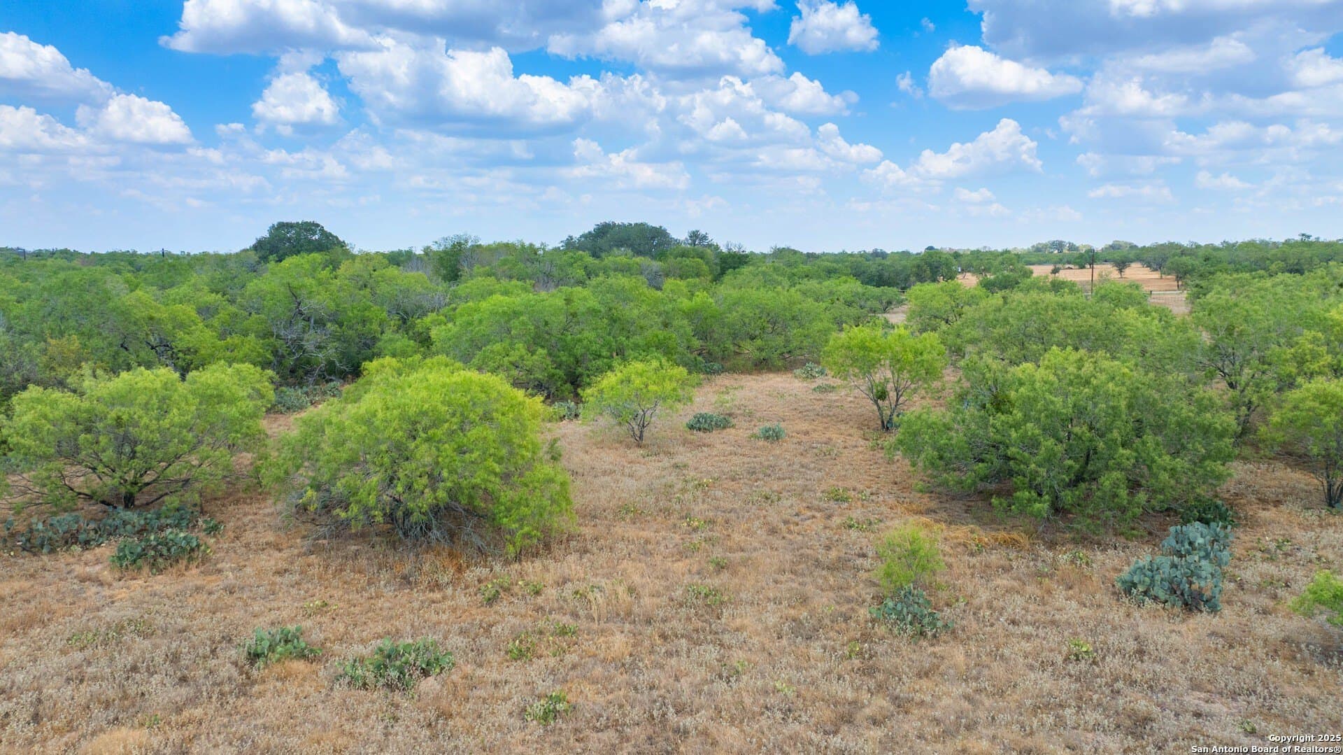 12.24 acres in Wilson County - photo 13