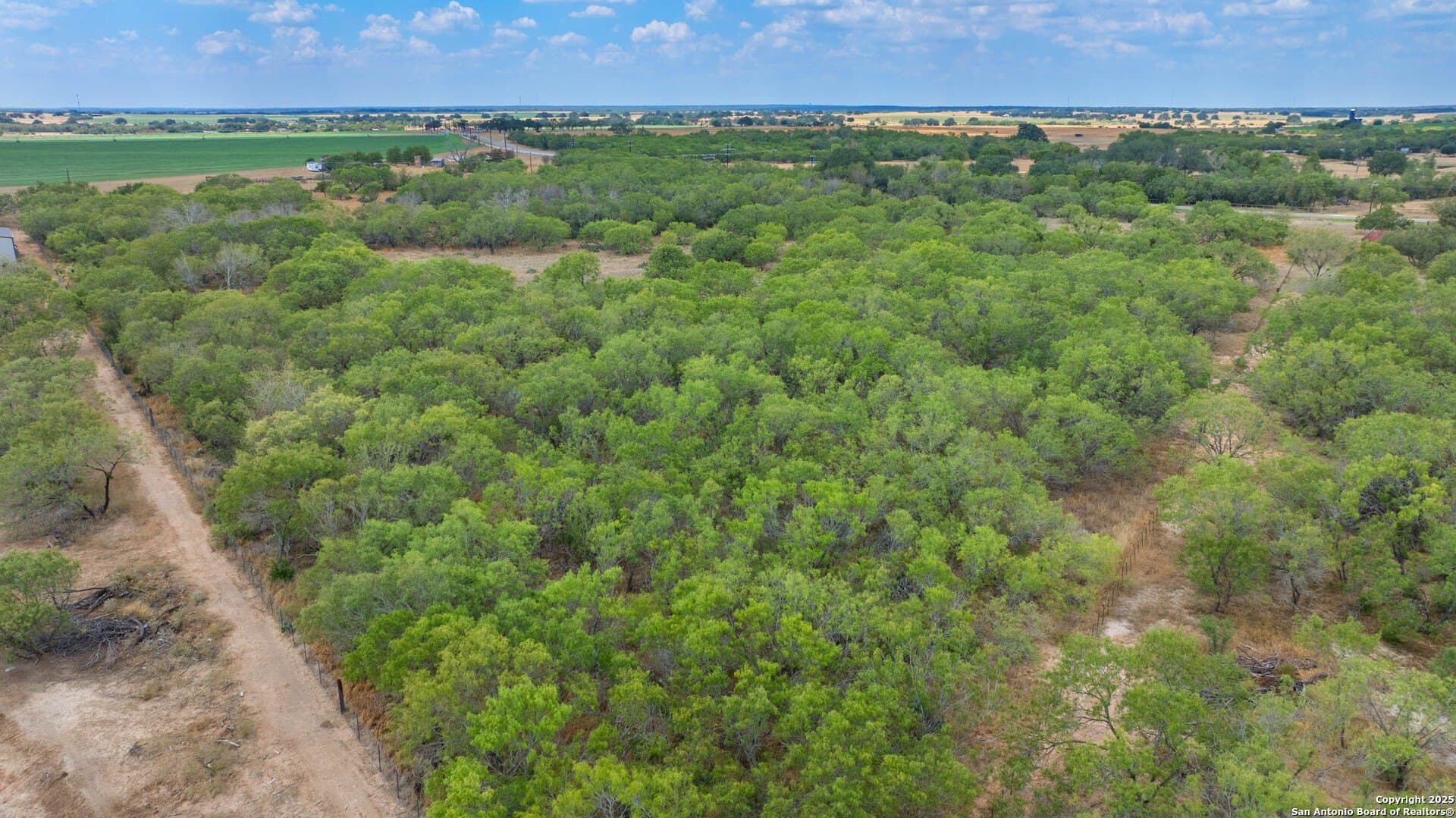 12.24 acres in Wilson County - photo 11