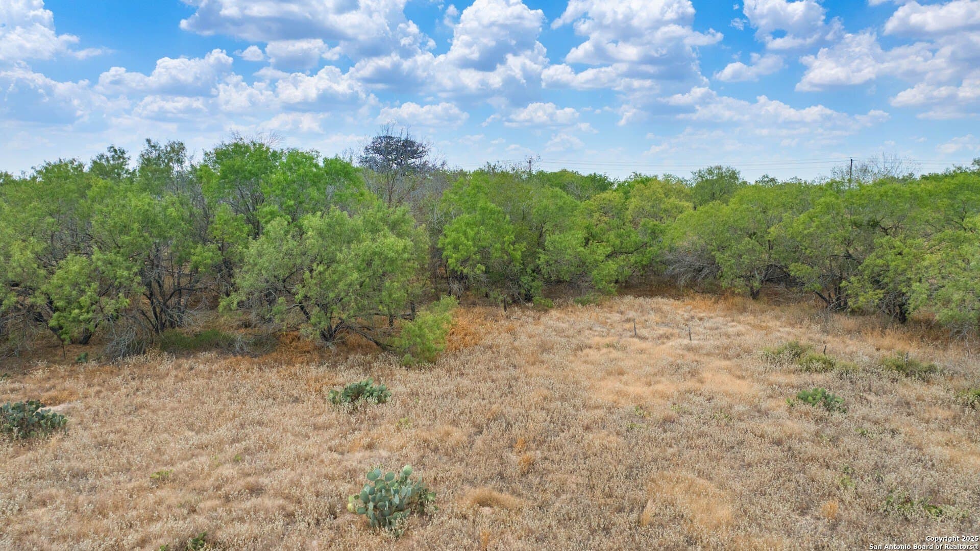 12.24 acres in Wilson County - photo 14
