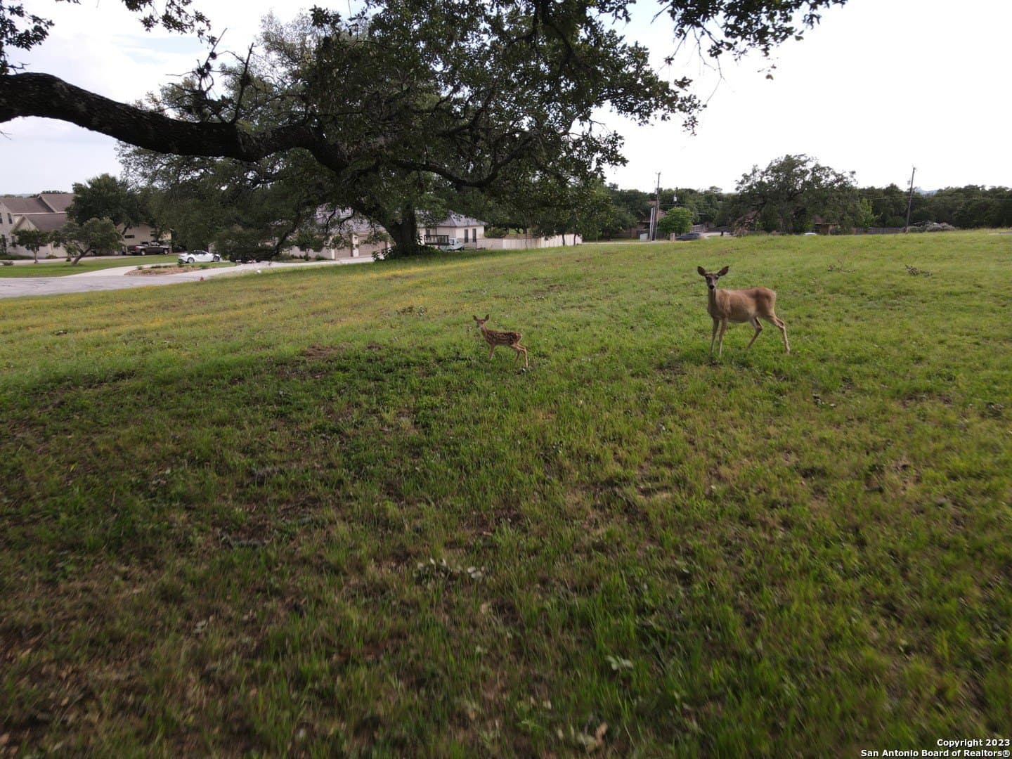2 acres in Comal County - photo 10