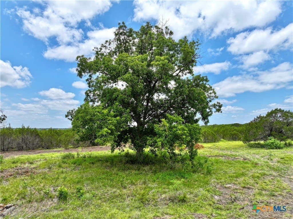 75 acres in Lampasas County - photo 13