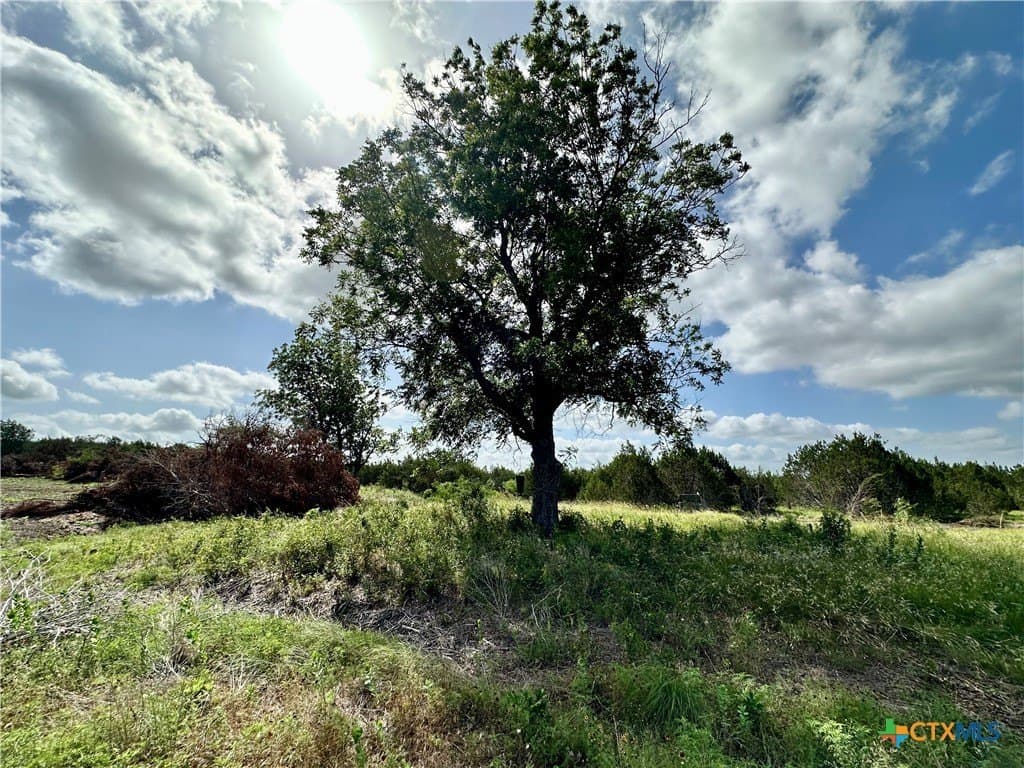 75 acres in Lampasas County - photo 5