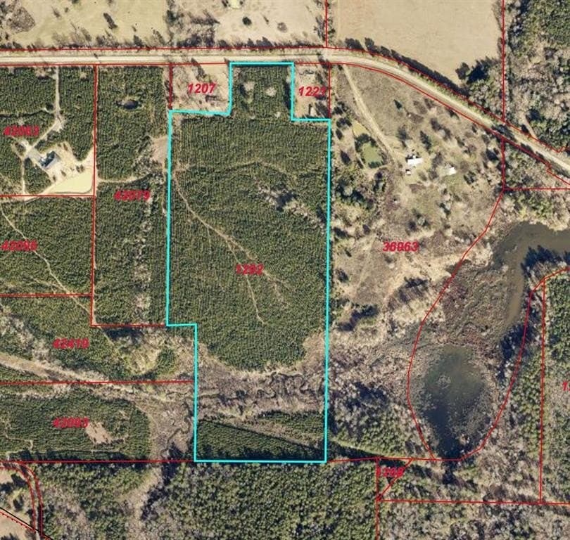 57.65 acres in Marion County - photo 3
