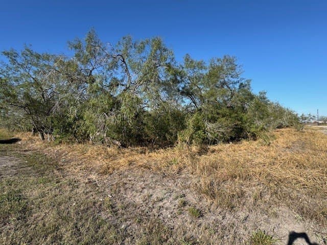 1.12 acres in Bee County - photo 3