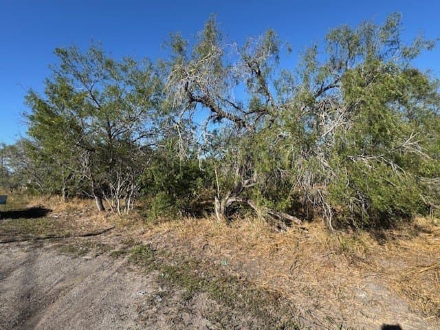 1.12 acres in Bee County - photo 2