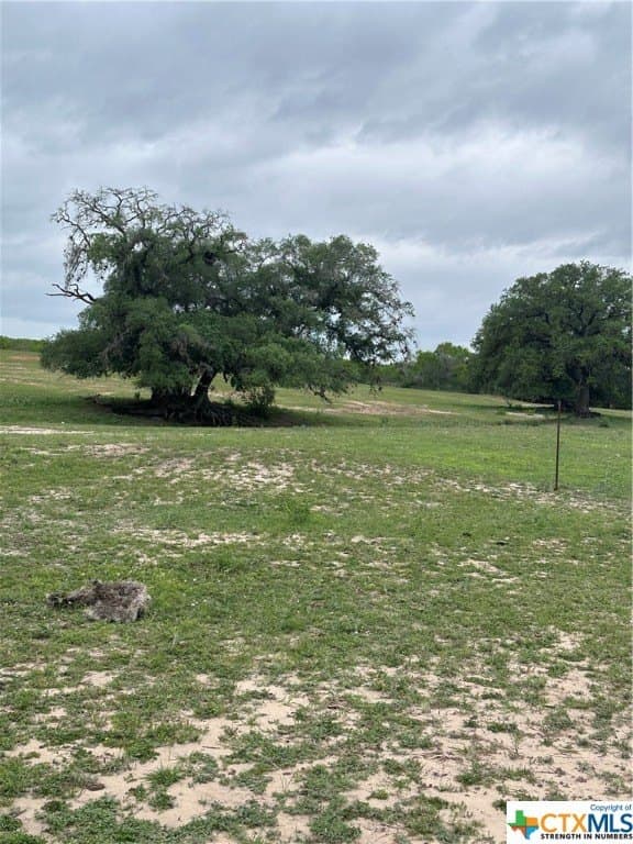 22.55 acres in Atascosa County - photo 4