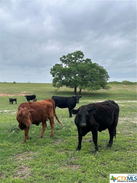 22.55 acres in Atascosa County - photo 3