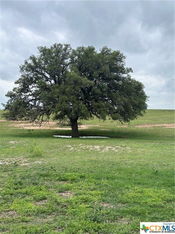 22.55 acres in Atascosa County - photo 2