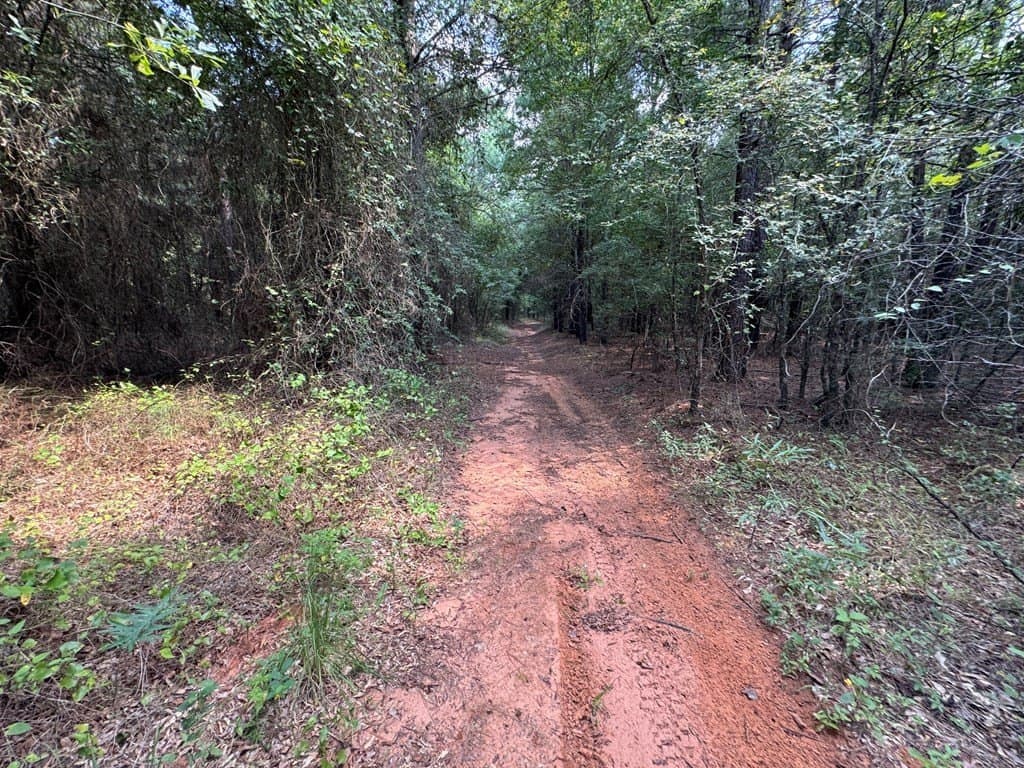 51 acres in SMITH County - photo 18