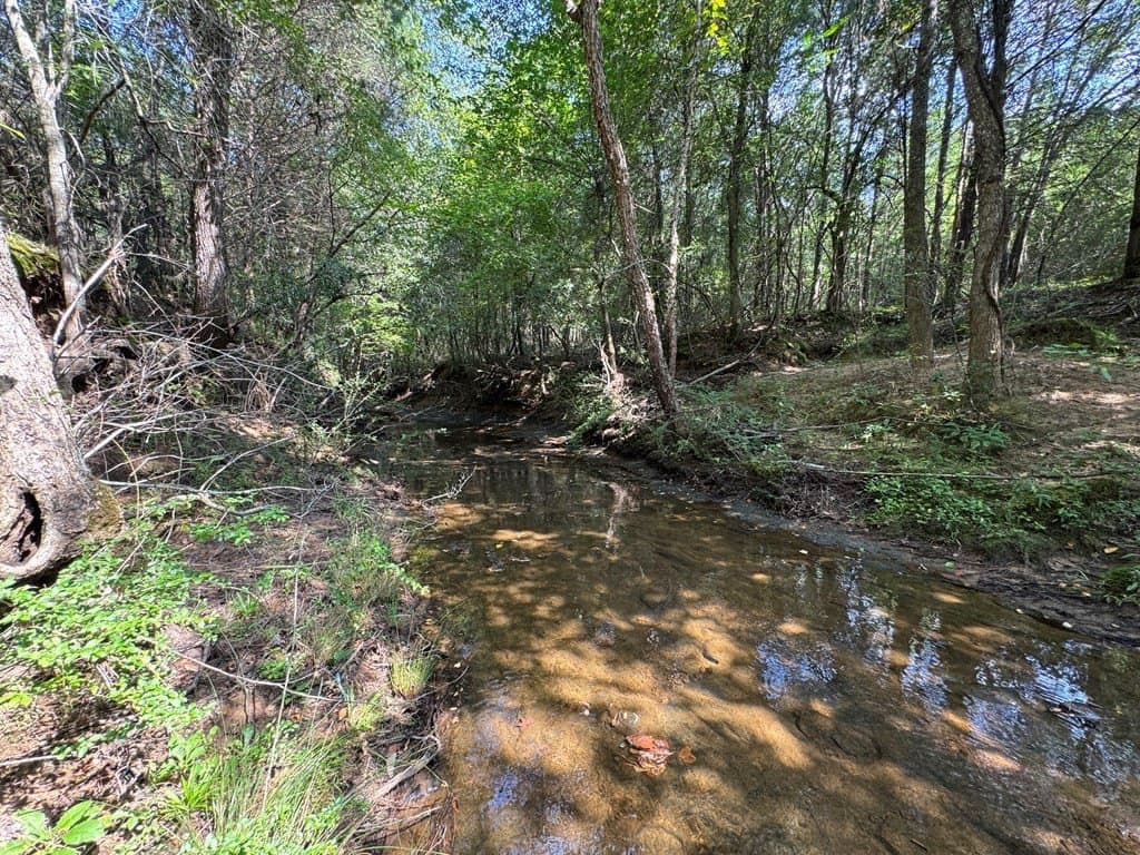 51 acres in SMITH County - photo 9
