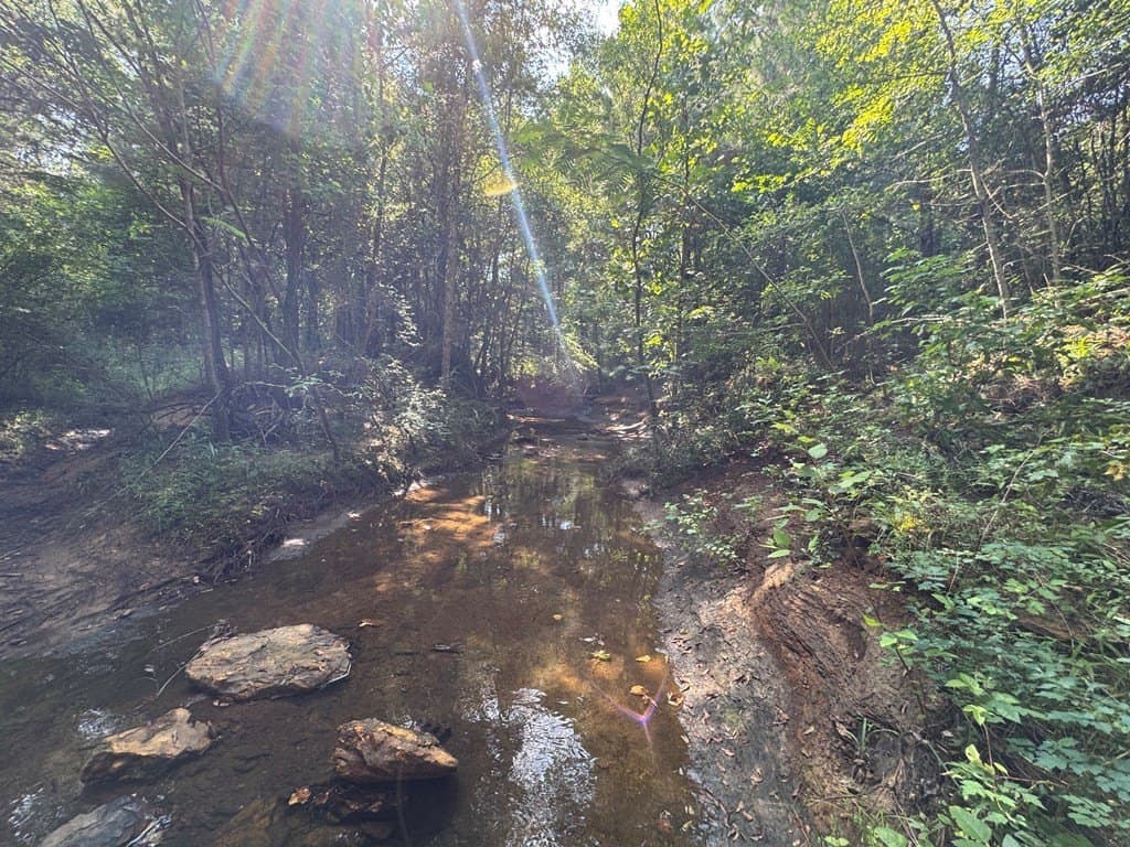 51 acres in SMITH County - photo 37