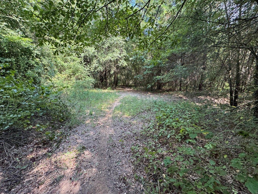 51 acres in SMITH County - photo 19