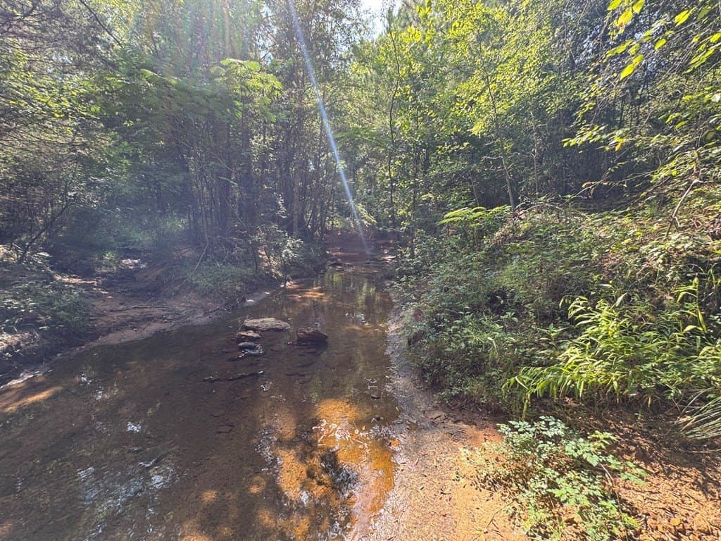 51 acres in SMITH County - photo 36