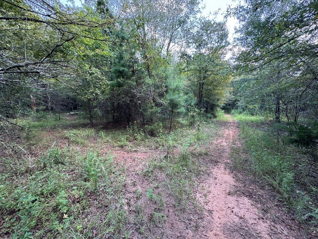 51 acres in SMITH County - photo 5