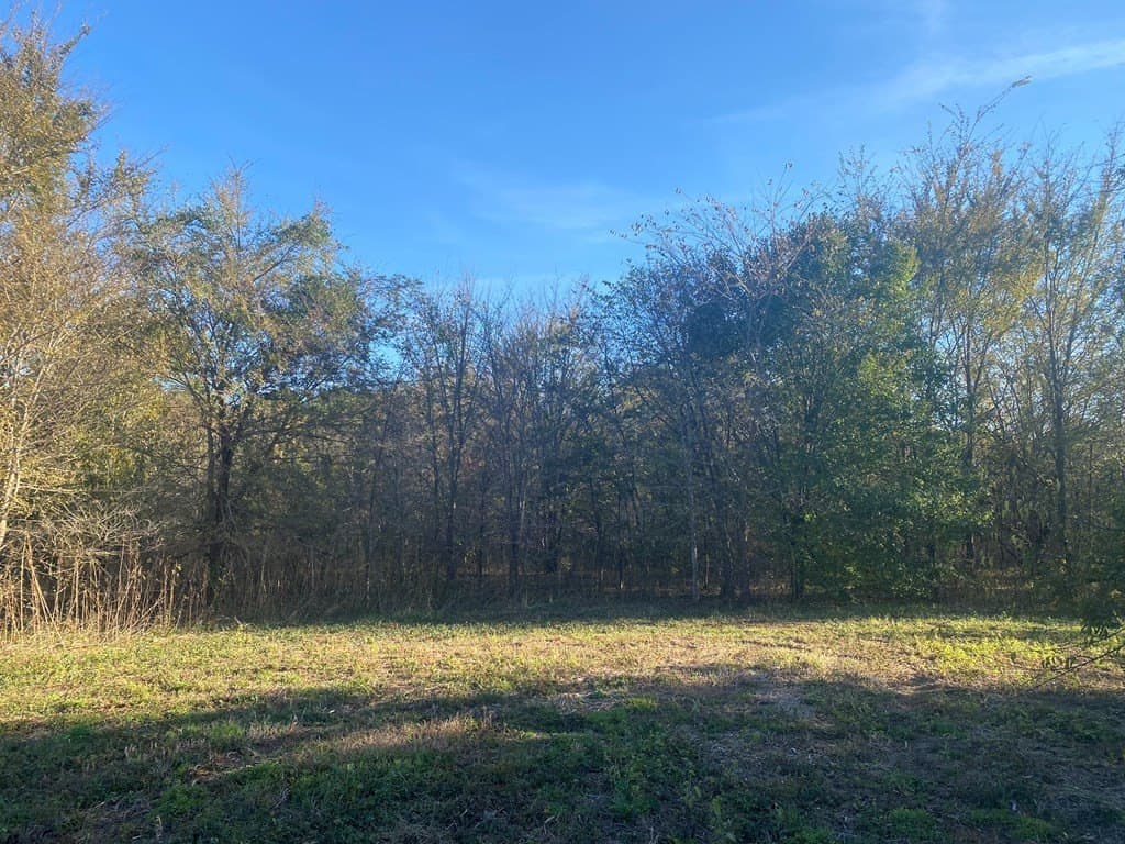 51 acres in SMITH County - photo 11