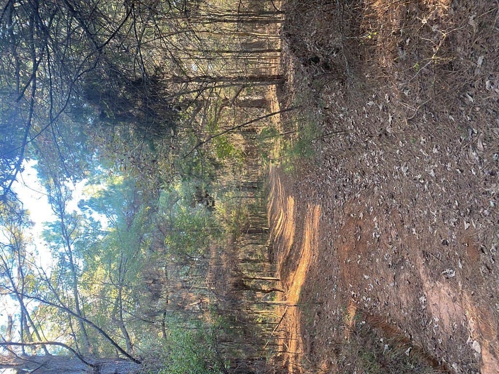 51 acres in SMITH County - photo 10