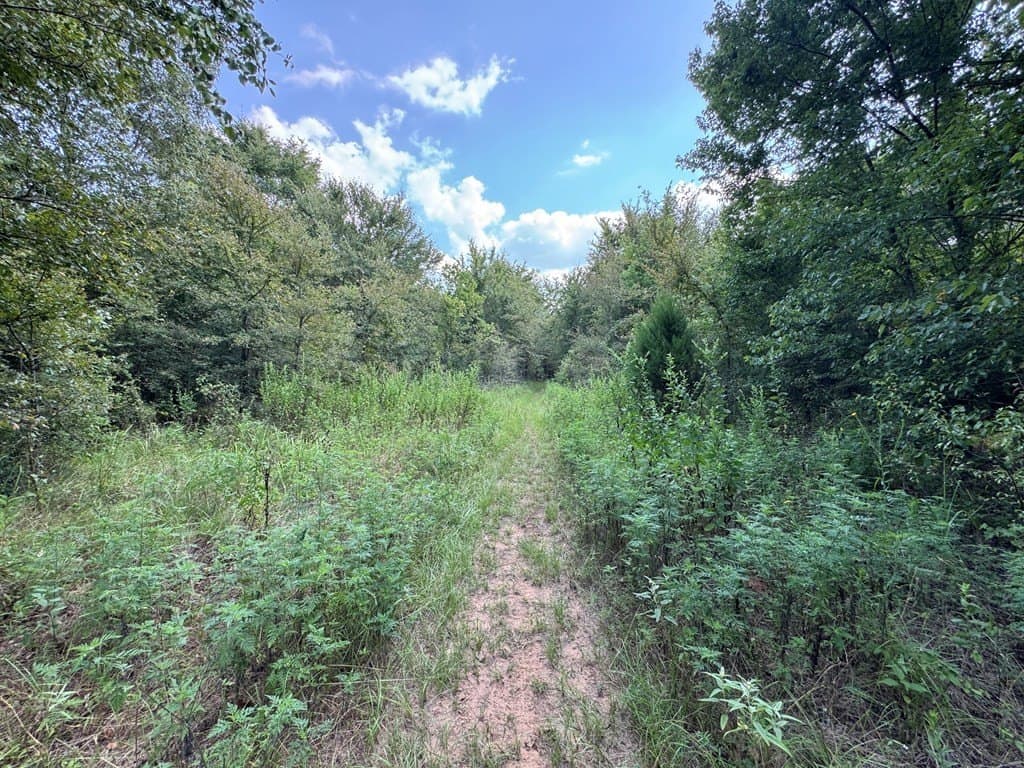 51 acres in SMITH County - photo 6