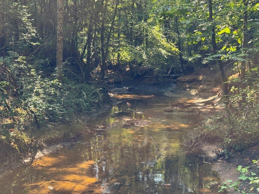 51 acres in SMITH County - photo 8