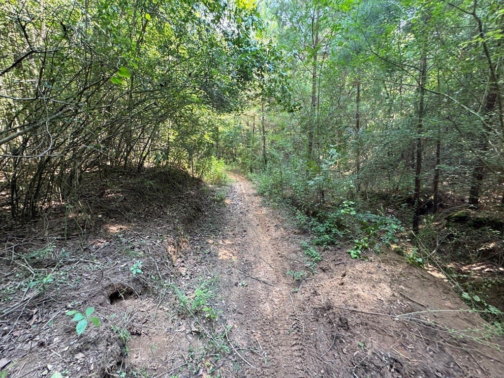 51 acres in SMITH County - photo 41