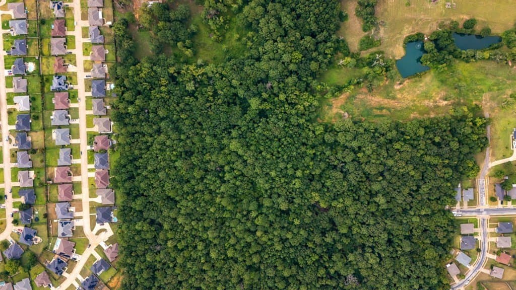 51 acres in SMITH County - photo 30